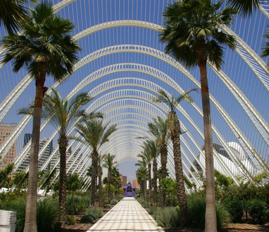Tip voor de herfst: een stedentrip naar Valencia