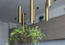 Hoeveel belgen wonen er momenteel in monaco?