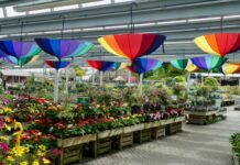 Waarom een bezoek aan tuincentrum Nijkerk op koopzondag de moeite waard is Waarom een bezoek aan tuincentrum Nijkerk op koopzondag de moeite waard is