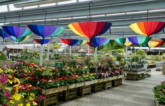 tuincentrum-nijkerk-koopzondag Waarom een bezoek aan tuincentrum Nijkerk op koopzondag de moeite waard is