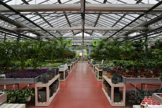 tuinwereld-tiel Ontdek de veelzijdigheid van tuinieren in Tuinwereld Tiel