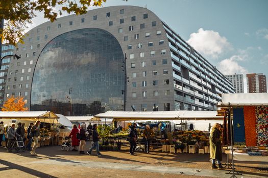 kok-en-de-tuinman-rotterdam De perfecte balans tussen koken en tuinieren in Rotterdam